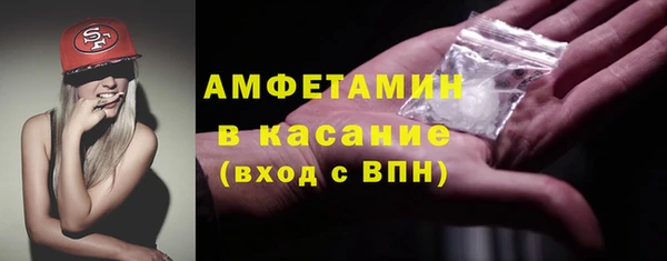 мдпв Вяземский